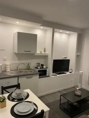 Cuisine ou kitchenette dans l'établissement Superbe F2 proche centre ville