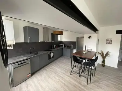 Cuisine ou kitchenette dans l'établissement Appartement Jungle- hypercentre -Charleville
