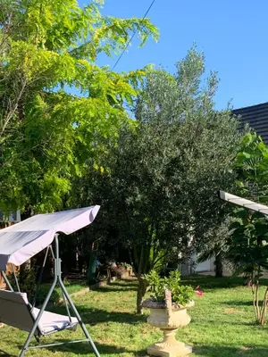 Jardin de l'établissement Anita