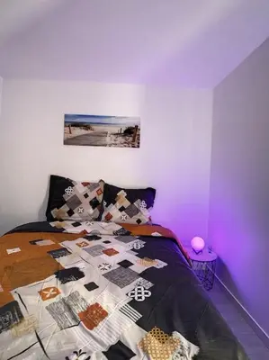 Animal ou animaux domestique(s) séjournant avec des clients dans l'établissement Cosy T2 Wifi Parking Proche gare CENTRE VILLE