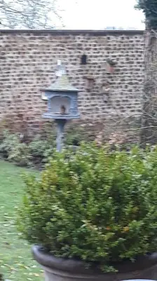 Jardin de l'établissement Vakantiewoning Le Chêne