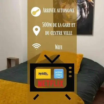Appart 500 m centre ville - gare