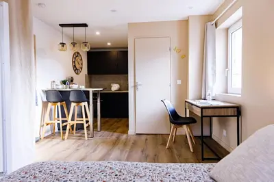 Cuisine ou kitchenette dans l'établissement Joli appartement, Le Bouchon Rémois, centre ville