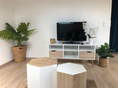 Télévision ou salle de divertissement dans l'établissement Chez Gustave charmant T2, 4 min place Ducale