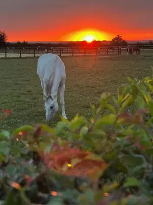 Lever ou coucher de soleil vu de la maison de vacances ou à proximité