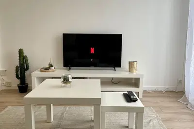 Télévision ou salle de divertissement dans l'établissement L’esplanade - Super 3 pièces refait à neuf - Reims