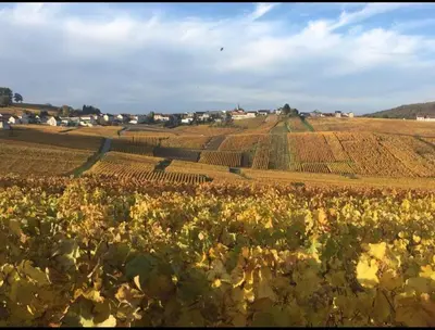 Paysage naturel près de la maison de vacances