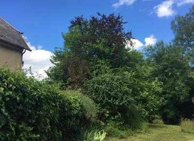 Jardin de l'établissement Maison cosy dans village historique
