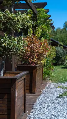 Jardin de l'établissement Gîte classé deux étoiles gite de France n 17 Signy-le-Petit