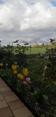 Jardin de l'établissement La Chambre du Valois