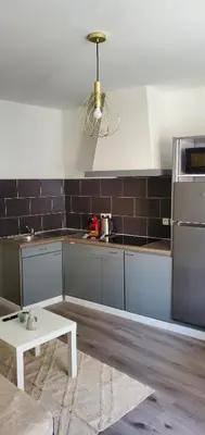 Cuisine ou kitchenette dans l'établissement Triangle d'or - Calme et Cosy, Appartement 1 chambre
