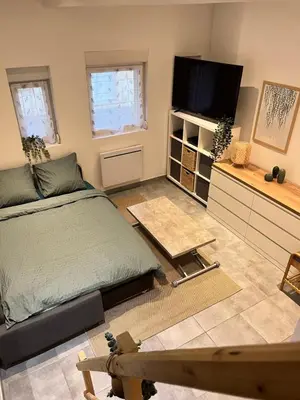 Télévision ou salle de divertissement dans l'établissement Le Rémois studio cosy hyper centre