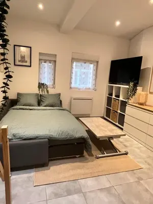 Télévision ou salle de divertissement dans l'établissement Le Rémois studio cosy hyper centre