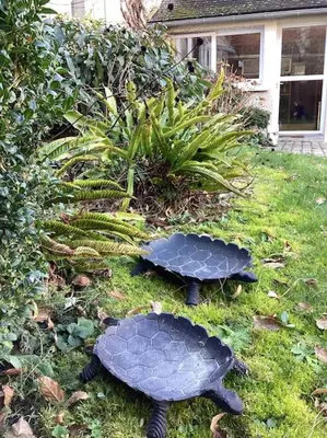 Jardin de l'établissement LE GITE LACHELLE