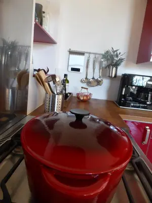 Cuisine ou kitchenette dans l'établissement Les Oiseaux de Passage