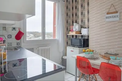 Cuisine ou kitchenette dans l'établissement T1 cocooning à l’Hôtel de Ville