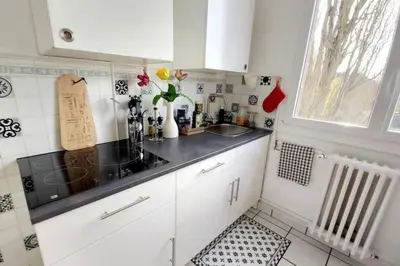 Cuisine ou kitchenette dans l'établissement T1 cocooning à l’Hôtel de Ville