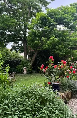 Jardin de l'établissement La Maison Saint Joseph