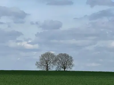 Paysage naturel près de le B&B/chambre d'hôtes