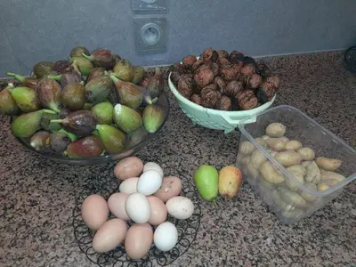 Nourriture dans le séjour chez l'habitant ou à proximité