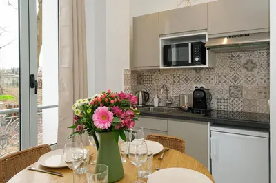 Cuisine ou kitchenette dans l'établissement Villa Forestière Appart Le Ginkgo