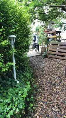 Jardin de l'établissement Le Gîte d'Ouilly